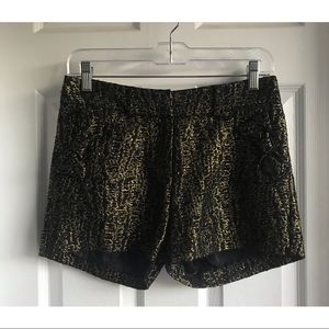 Gorgeous Black & Gold Shorts